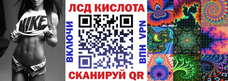Купить закладки  Городище  Наркотические марки 1500мкг 