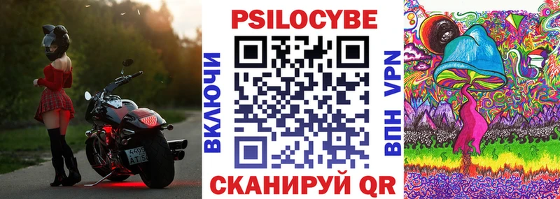 Купить  Городище  Псилоцибиновые грибы Cubensis 